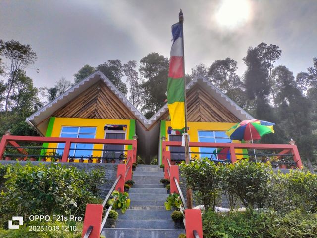 Nambang Homestay Tinchuley | Kanchenjunga View & Peaceful Mountain Stay
